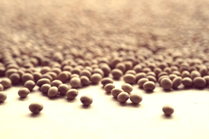 A group of small balls of brown stuff on a white surface